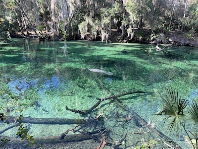 Blue Springs State Park - Clio, Alabama