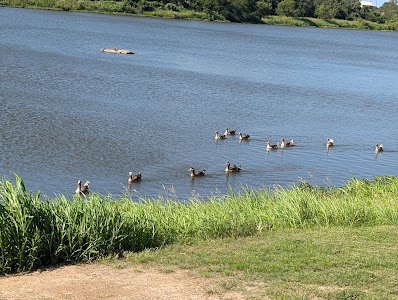 Robinson City Park - Llano, Texas campground