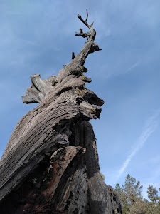 Christopher Creek - Payson, Arizona campground