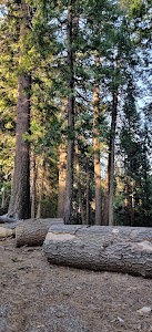 Butte Meadows - Forest Ranch, California campground