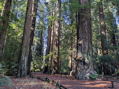 Richardson Grove State Park - Garberville, California campground