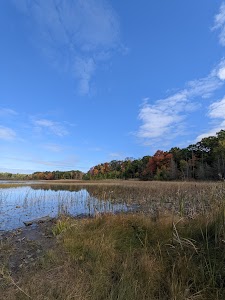 Murray Lake Rustic Campground - Brighton, Michigan campground