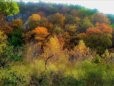 Lost Maples State Natural Area - Vanderpool, Texas campground