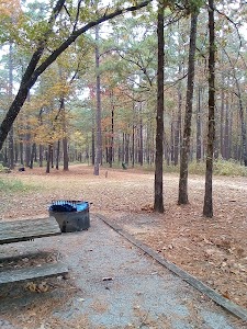 Shockaloe Base Camp I campground