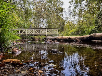 Little Bennett Regional Park - Clarksburg, Maryland campground