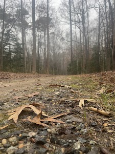 Newport News City Park - Newport News, Virginia campground